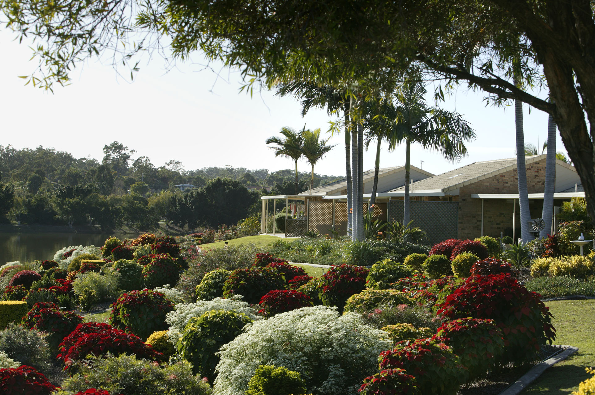 Amity Gardens Retirement Living, Ashmore, QLD Aveo